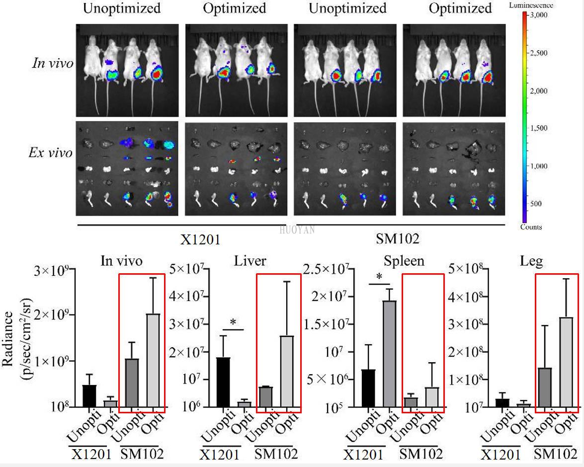 优化案例 优化案例